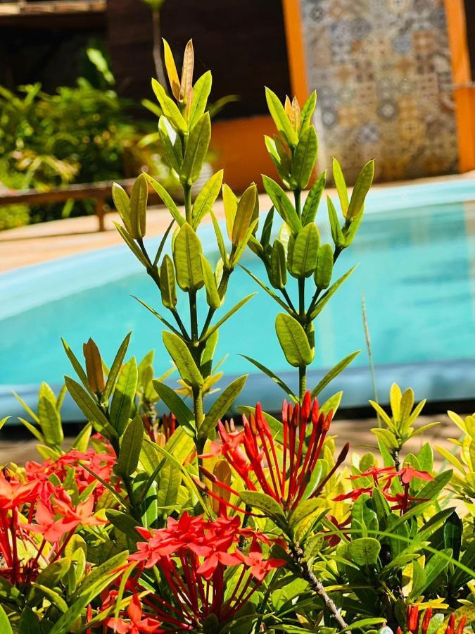Apartament A Casa Do Sol Barra Grande  Zewnętrze zdjęcie