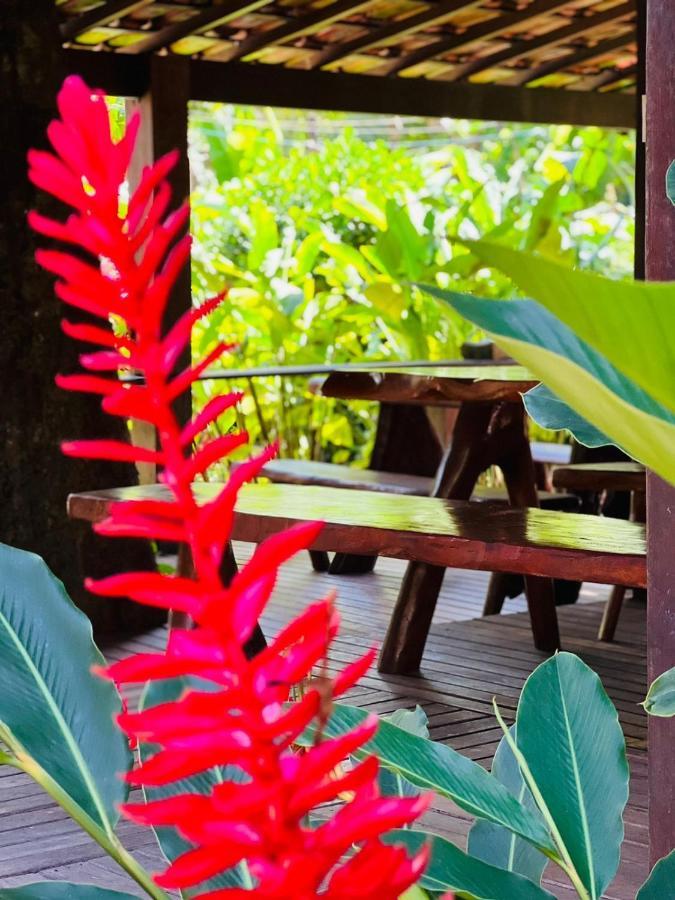 Apartament A Casa Do Sol Barra Grande  Zewnętrze zdjęcie